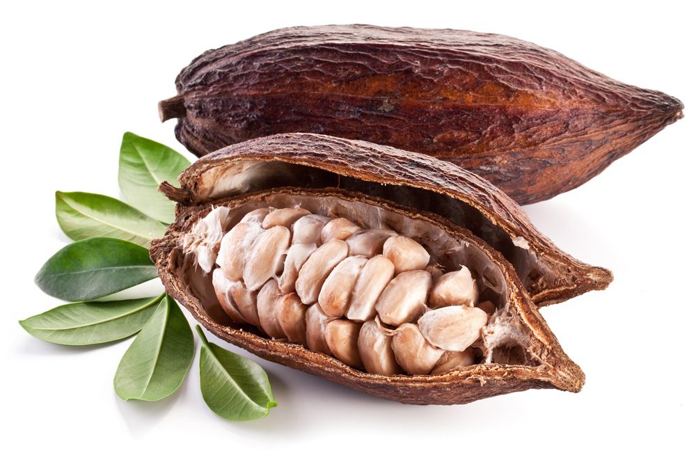 Cacao