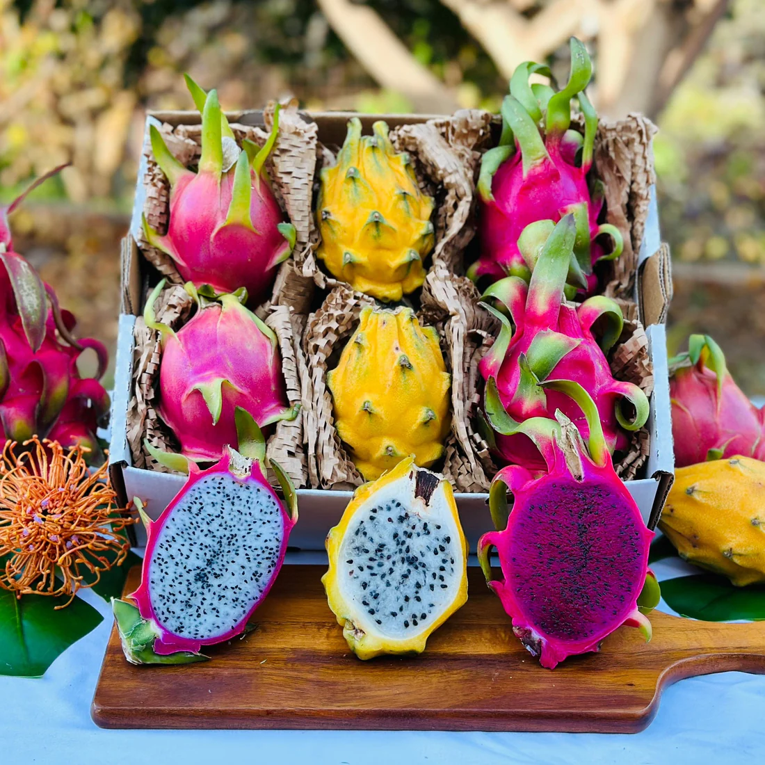 Dragonfruit