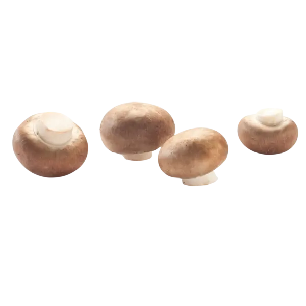 Kastanjechampignons